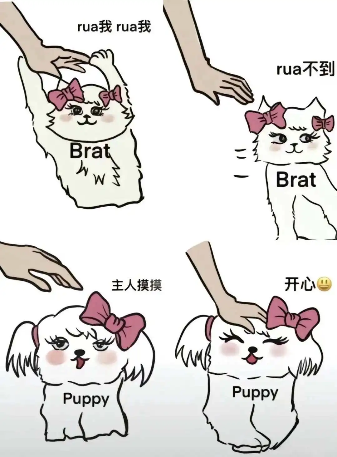 西檬之家-字母圈新人入圈指南，BDSM知识全解析