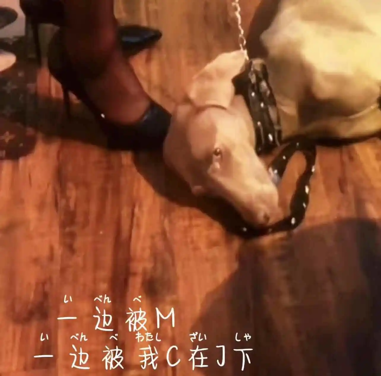西檬之家-字母圈新人入圈指南：从核心术语到实践原则