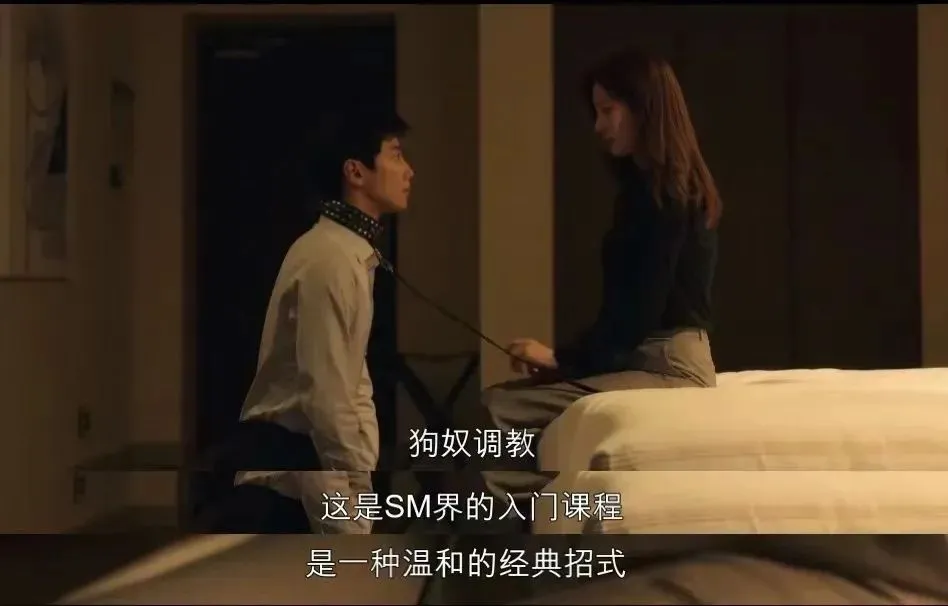 西檬之家-字母圈的新人必读指南：掌握BDSM核心术语