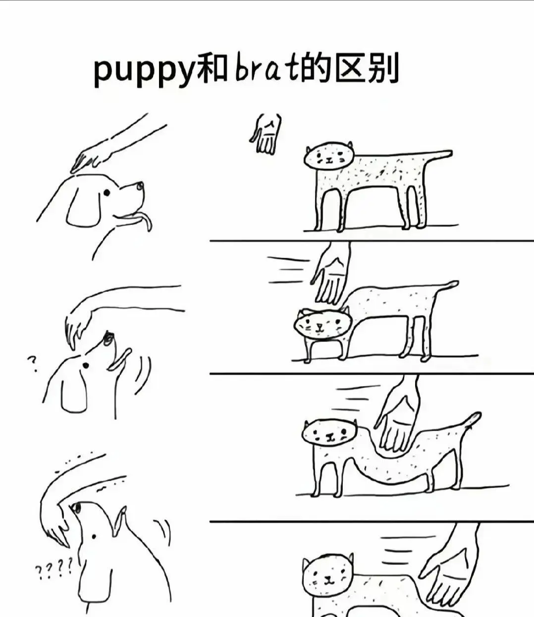 西檬之家-字母圈的Aftercare是什么意思？