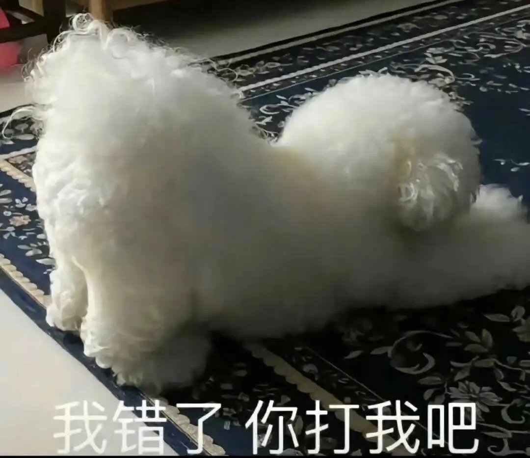 西檬之家-s属性是什么？字母圈新人入圈指南