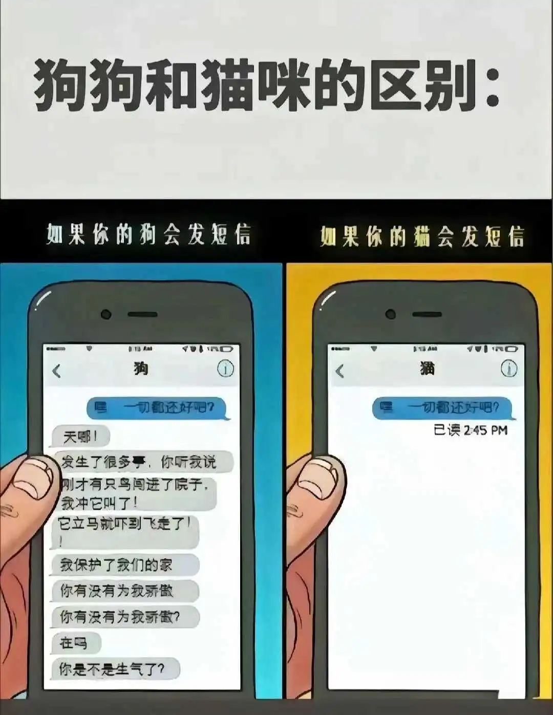 西檬之家-字母圈SP实践指南