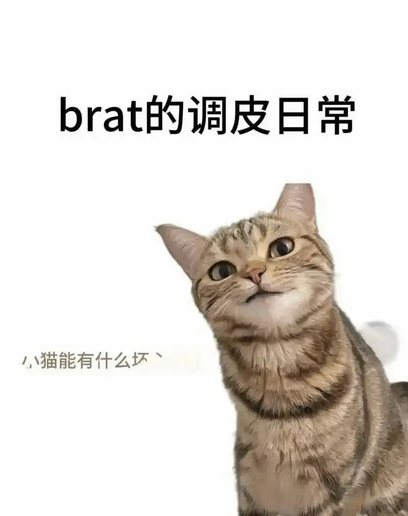 字母圈入圈 - 2025-11-13 192048